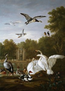 Cigni, anatre e altri uccelli in un parco da Pieter Casteels