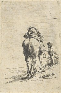 Cavallo sellato legato a un palo da Pieter Cornelisz. Verbeeck