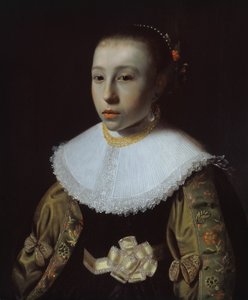 Ritratto di una giovane ragazza da Pieter Dubordieu