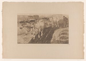 Buoi che arano da Pieter Dupont (signed by artist)