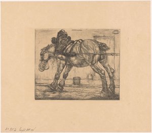 Cavallo da tiro con sacco di avena