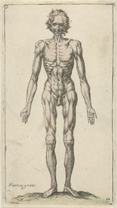 Studio di un uomo nudo (Studi anatomici) da Pieter Feddes van Harlingen