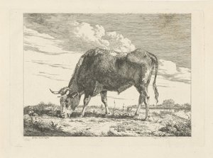 Mucca al pascolo da Pieter Gerardus van Os