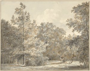 Cervi in un bosco da Pieter Gerardus van Os
