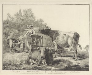 Mucche e una lattaia Le mucche da latte olandesi (titolo sull