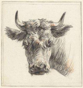 Testa di un bovino da Pieter Gerardus van Os