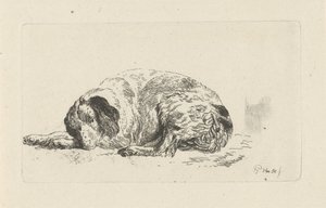 Cane sdraiato da Pieter Gerardus van Os