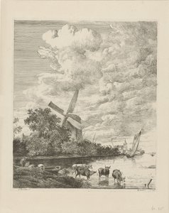 Veduta del fiume con mulino e mucche nell