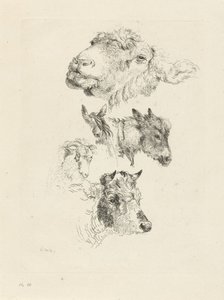Foglio di studio con teste di pecora, cavallo, asino, ariete e toro da Pieter Gerardus van Os