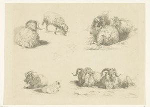 Quattro scene con pecore e capre da Pieter Gerardus van Os