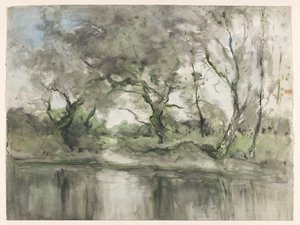 Alberi sulla riva