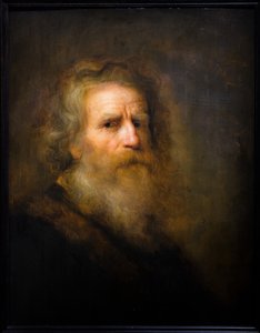 Testa di un vecchio da Pieter Harmansz Verelst