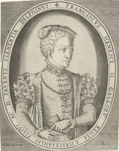 Ritratto di Francesco II di Francia, 1544-1560 da Pieter Heyden van der