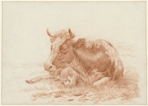 Bovino sdraiato da Pieter Jan Guise