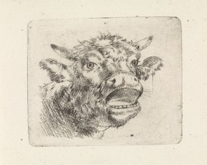 Testa di mucca, muggente da Pieter Janson