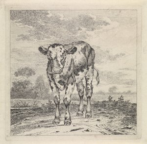 Paesaggio con vitello da Pieter Janson