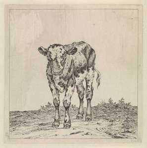 Paesaggio con vitello da Pieter Janson