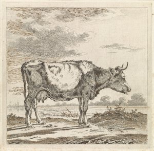 Paesaggio con mucca sulla riva da Pieter Janson