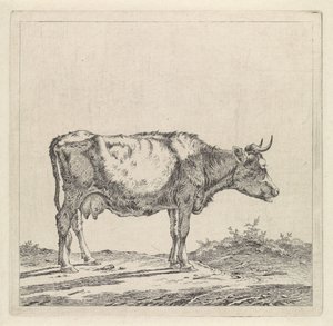 Paesaggio con mucca sulla riva da Pieter Janson