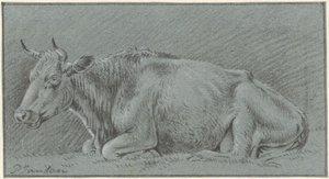 Mucca sdraiata da Pieter Janson