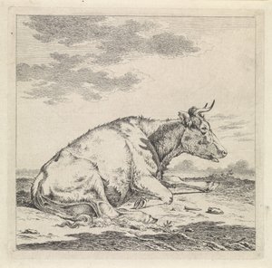 Mucca sdraiata, verso destra da Pieter Janson