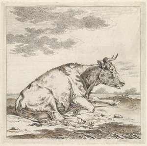 Mucca sdraiata, verso destra da Pieter Janson