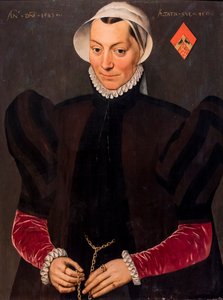 Ritratto di donna di 45 anni