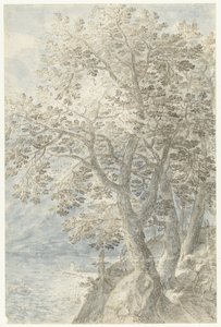 Alberi vicino a una parete rocciosa ripida da Pieter Stevens (I)