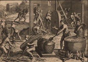 Gli schiavi lavorano la canna da zucchero e producono zucchero da Pieter Van der Aa