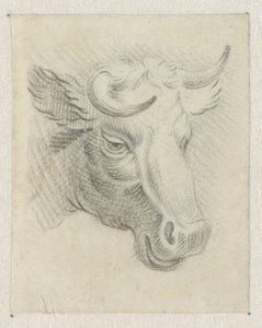 Testa di una mucca da Pieter de Goeje