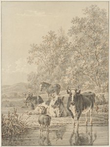  da Pieter de Goeje