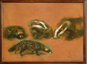 Un gatto zibetto e un tasso (dipinto su tela) da Pieter or Peter Boel