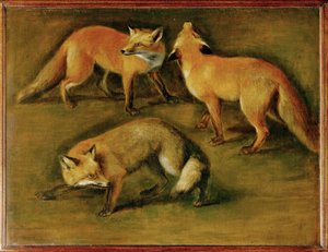Una volpe (dipinto su tela) da Pieter or Peter Boel