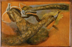 Tre pavoni (pittura su tela) da Pieter or Peter Boel