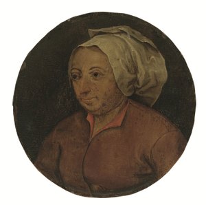 Testa di una donna