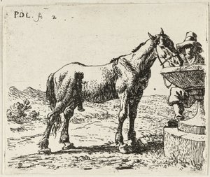 Cavallo da bere