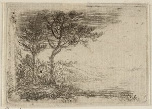 Tedesco: Paesaggio con due alberi