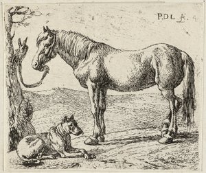 Il cavallo e il cane