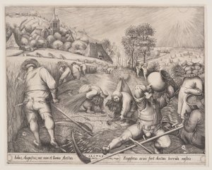Cicalino da Pieter van der Heyden