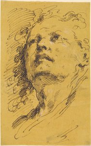 Testa di un uomo che guarda in alto da Pietro Antonio Novelli
