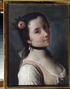 Una ragazza con una rosa da Pietro Antonio Rotari