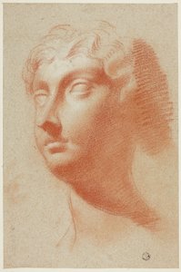 Testa femminile da Pietro Dandini