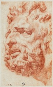 Capo di Laocoonte