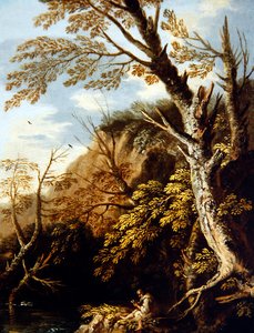 Paesaggio boscoso con un eremita da Pietro Montanini