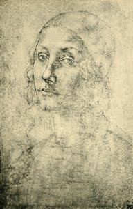 Ritratto di una donna, fine XV-inizio XVI secolo, 1943 da Pietro Perugino