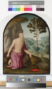 San Girolamo nel deserto, c.1510-15 da Pietro Perugino