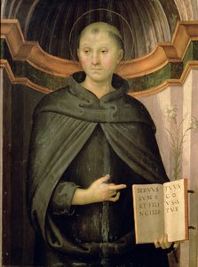 San Nicola da Tolentino da Pietro Perugino