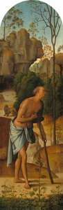 La crocifissione con la Vergine, San Giovanni, San Girolamo e Santa Maria Maddalena [pannello sinistro] da Pietro Perugino