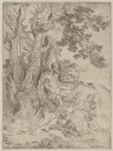 San Girolamo da Pietro Testa