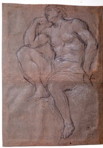 Giovane uomo, studio da Pietro da Cortona
